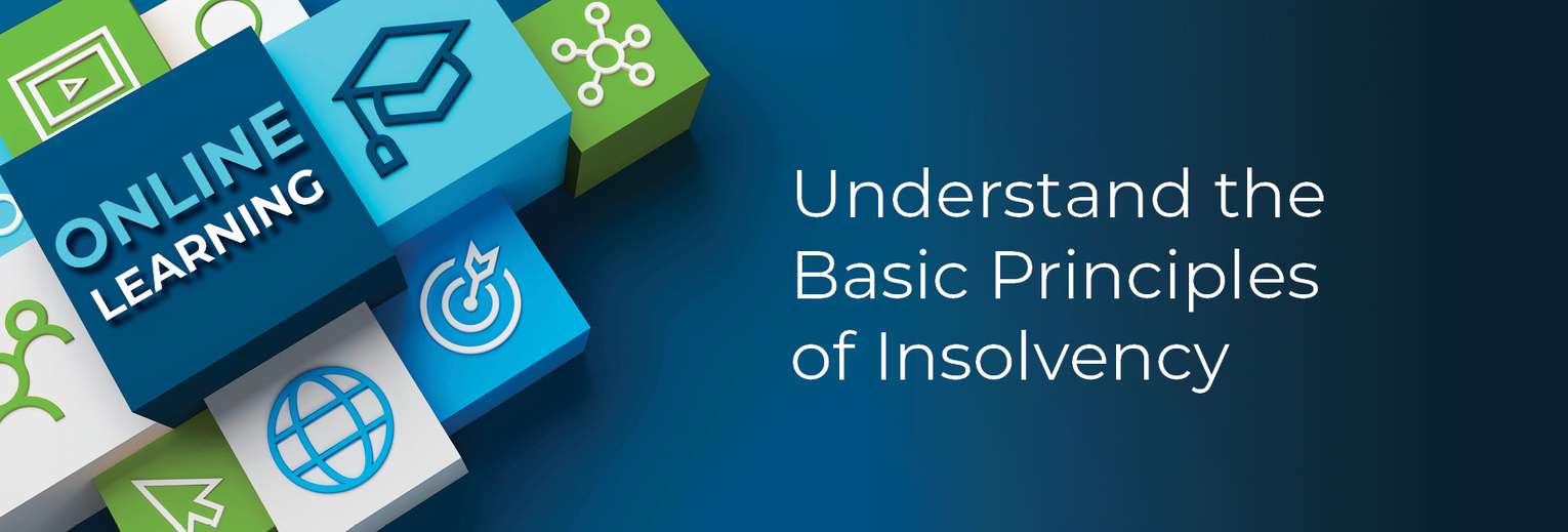 BLOG%2bUnderstand_Insolvency%2b1390x472px3.jpg